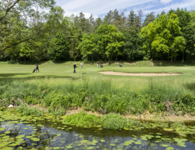 golf-toul-avrainville-biodiversité-partie-golf-terrouin