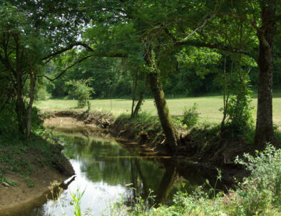 golf-toul-avrainville-a-propos-parcours-12