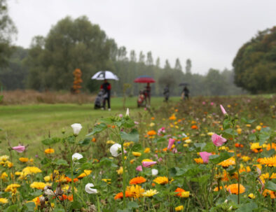 golf-toul-avrainville-biodiversité-fleurs-joueurs